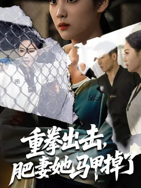 重拳出击肥妻她马甲掉了海报