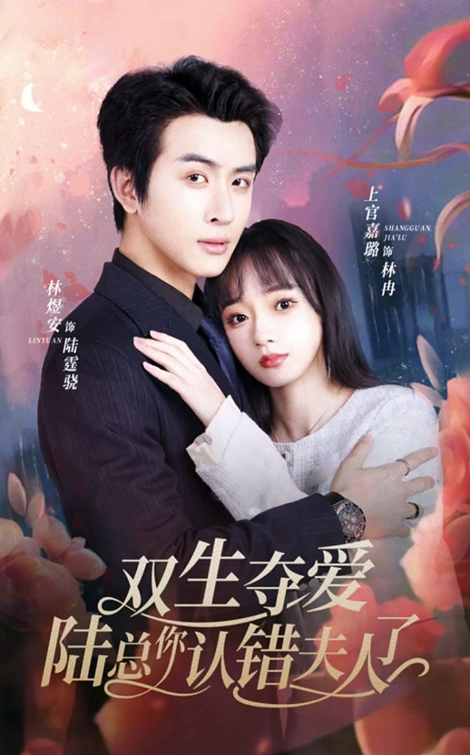 双生夺爱，陆总你认错夫人了海报