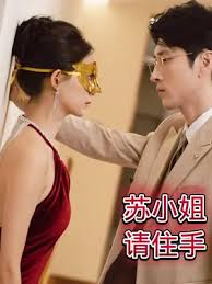 苏小姐请住手海报