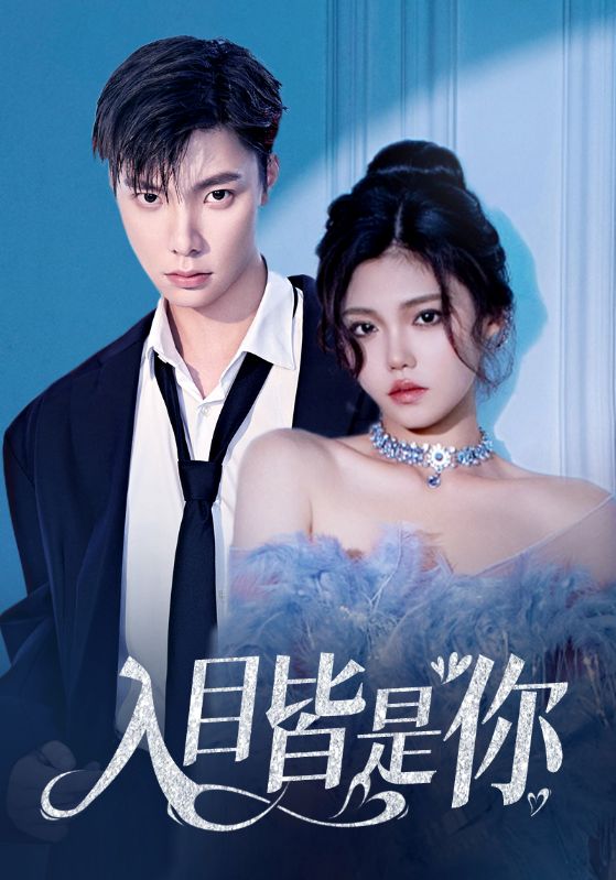 入目皆是你海报