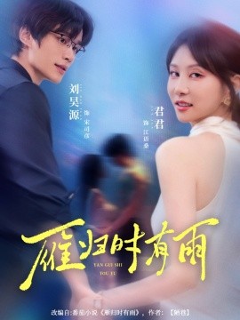 雁归时有雨海报