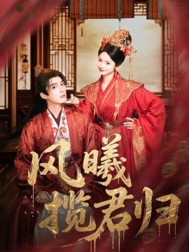 风曦揽君归海报