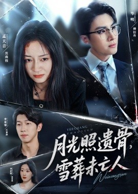 月光照遗骨，雪葬未亡人海报
