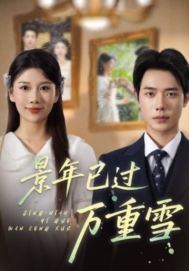 景年已过万重雪海报