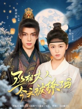 丞相大人今天被撩了吗海报