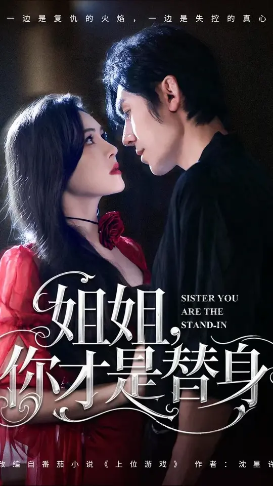 姐姐你才是替身海报