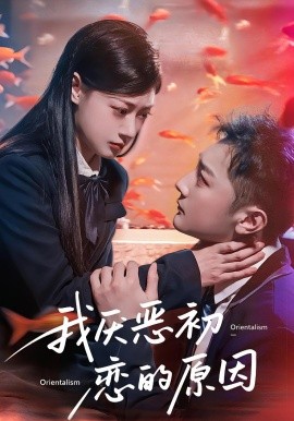 我厌恶初恋的原因海报