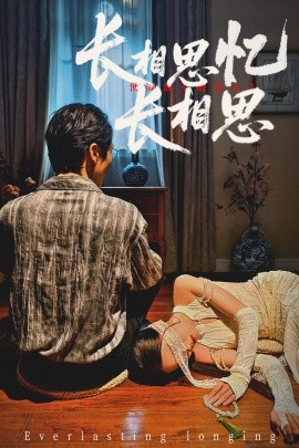 长相思忆长相思海报