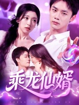 乘龙仙婿海报