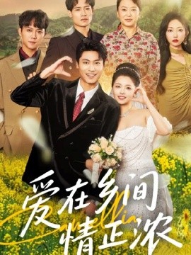 爱在乡间情正浓海报