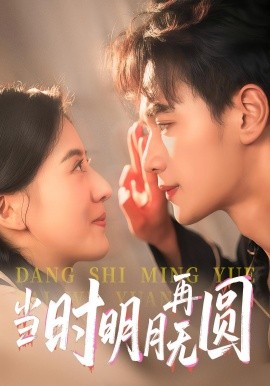 当时明月再无圆海报