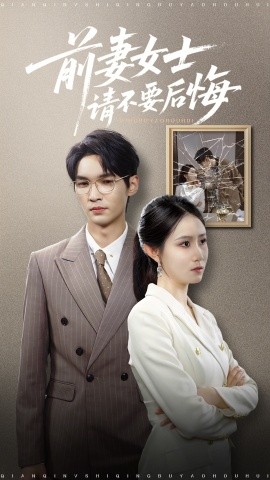 前妻女士请不要后悔海报