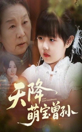 天降萌宝曾孙海报