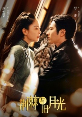 荆棘与旧月光海报