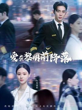 爱在黎明前降落海报