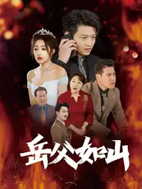 岳父的礼物海报