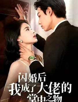 闪婚后我成了大佬的掌中之物海报