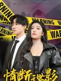 我的特工老婆海报