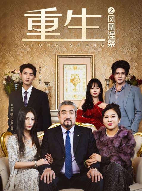 重生之凤凰涅槃海报