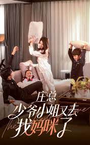 庄少，少爷小姐又去找妈咪了海报