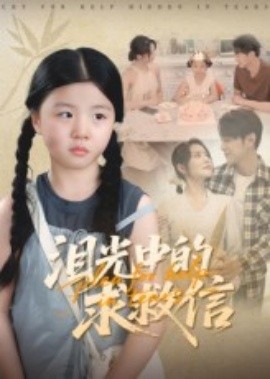 泪光中的求救信海报