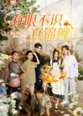 有眼不识真锦鲤海报