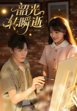 韶光转瞬逝海报