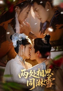 两处相思同淋雪海报
