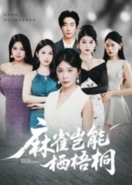 麻雀岂能栖梧桐海报