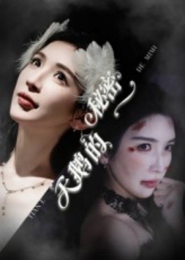 天鹅的秘密海报