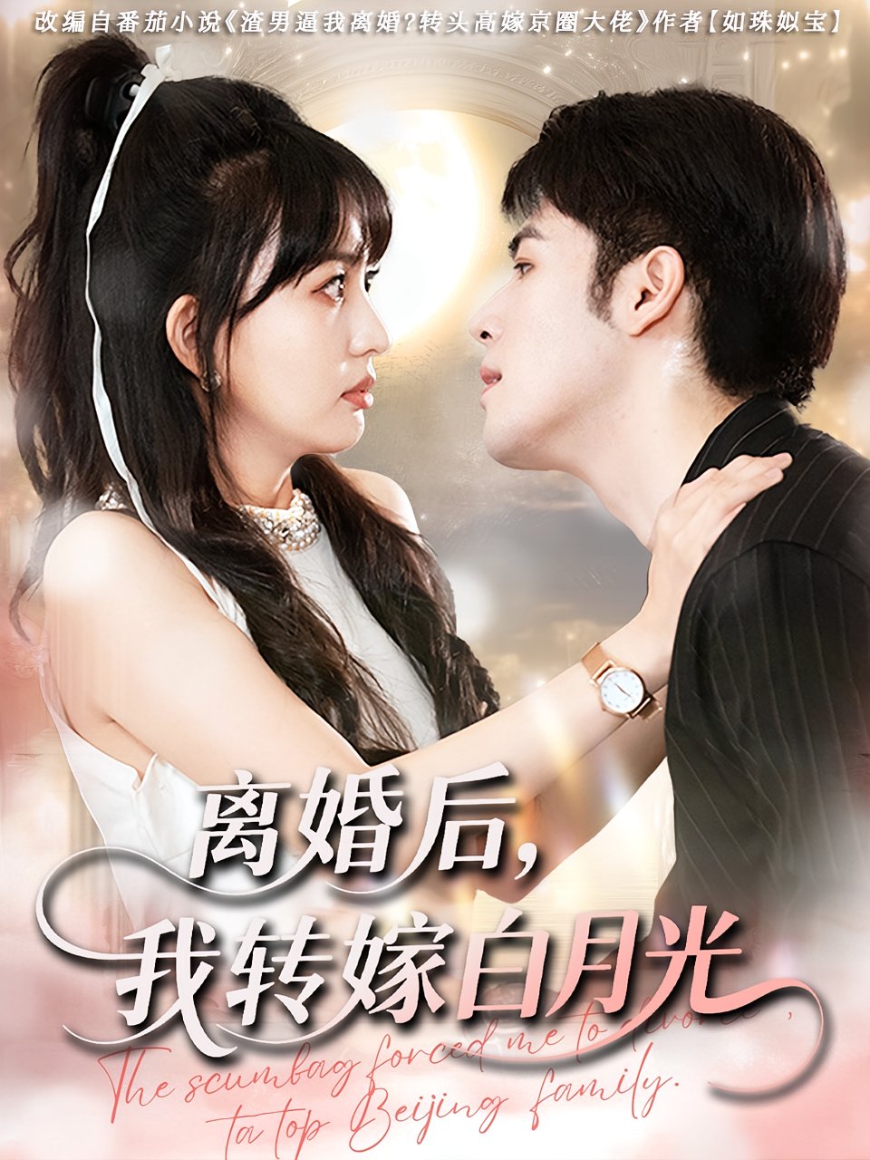 离婚后我转嫁白月光海报