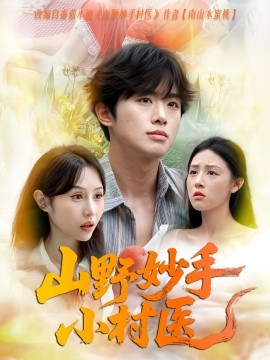 山野妙手小村医海报