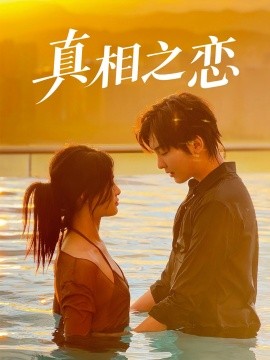 真相之恋海报