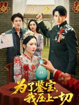 为了鉴宝，我压上一切海报