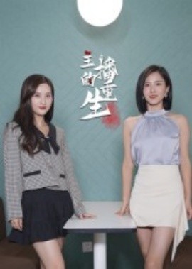 主播的重生海报