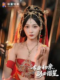 专业和亲，副业谐星海报