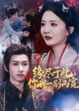 缘尽于此你我一别两宽海报