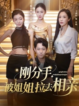 刚分手被姐姐拉去相亲海报