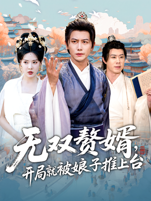 无双赘婿开局就被娘子推上台海报