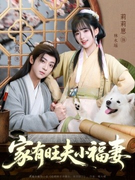 家有旺夫小福妻海报