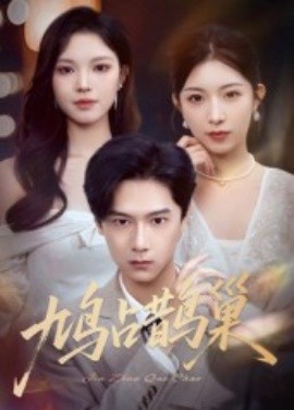 鸠占鹊巢&顶流夫人的致命陷阱海报