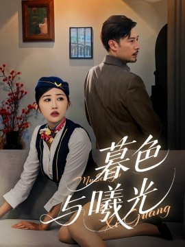 暮色与曦光海报