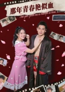 那年青春艳似血海报