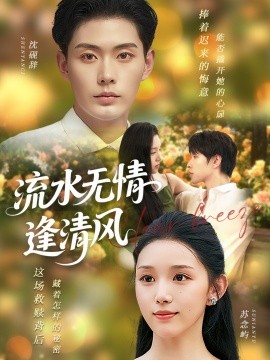 流水无情逢清风海报