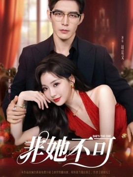 非她不可海报