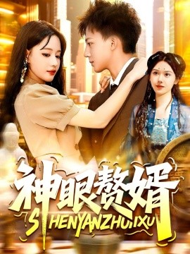 神眼赘婿海报