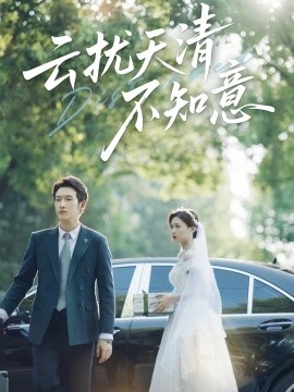 云扰天清不知意海报