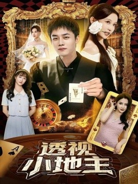 透视小地主海报