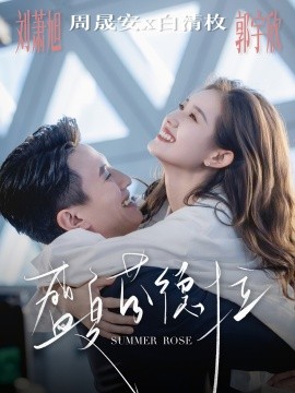 盛夏芬德拉海报