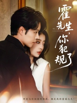 霍先生你犯规了海报